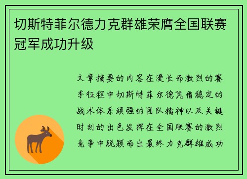 切斯特菲尔德力克群雄荣膺全国联赛冠军成功升级